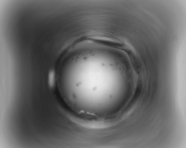 X0000099980024200805231433