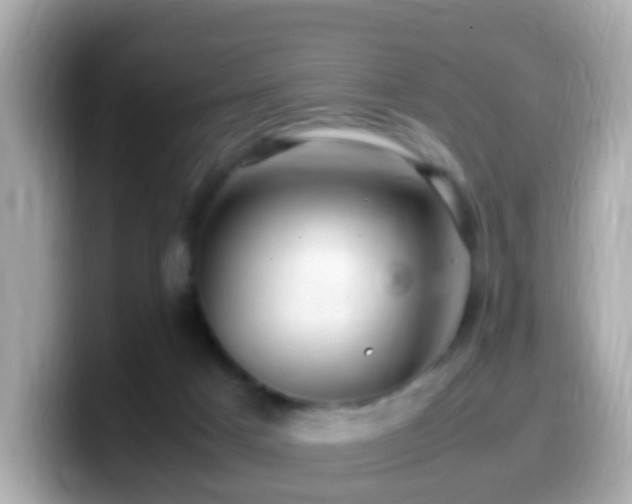 X0000099980025200805231433