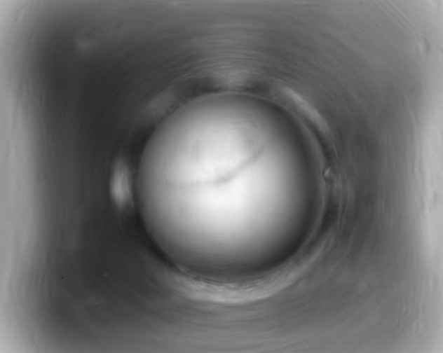 X0000099980026200805231433