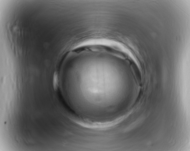 X0000099980027200805231433