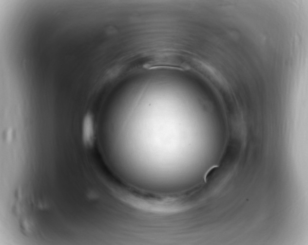 X0000099980028200805231433