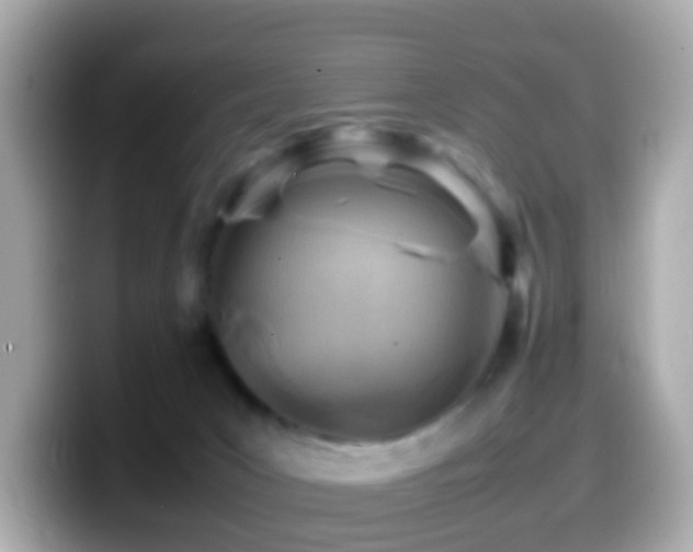 X0000099980031200805231433