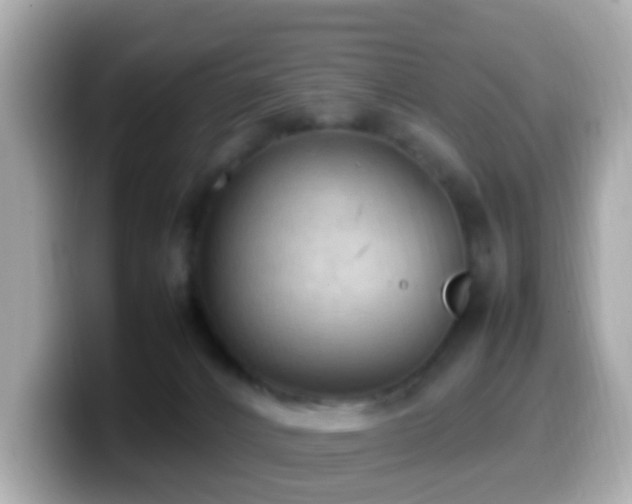 X0000099980032200805231433