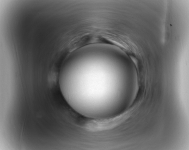 X0000099980033200805231433