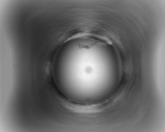 X0000099980036200805231433