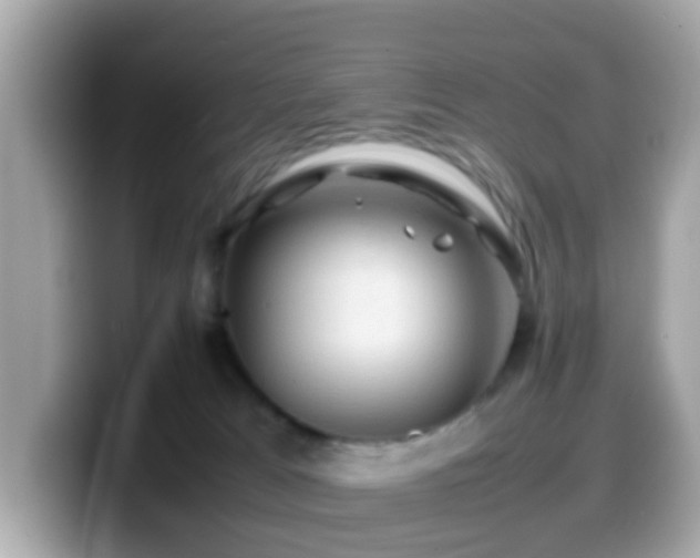 X0000099980037200805231433