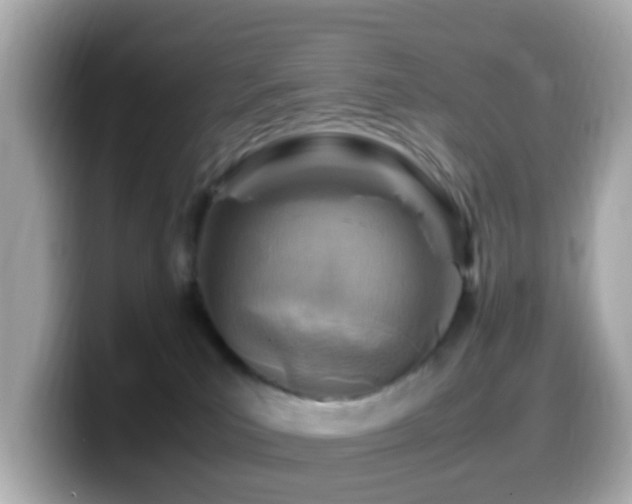 X0000099980039200805231433