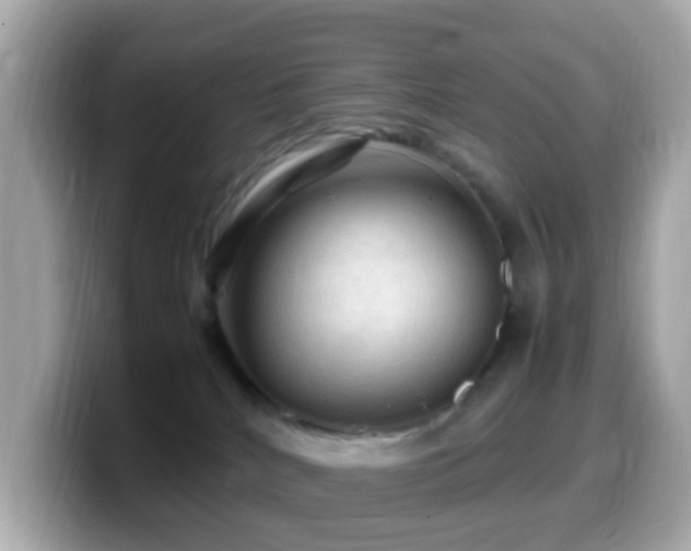X0000099980040200805231433