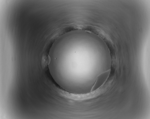 X0000099980043200805231433