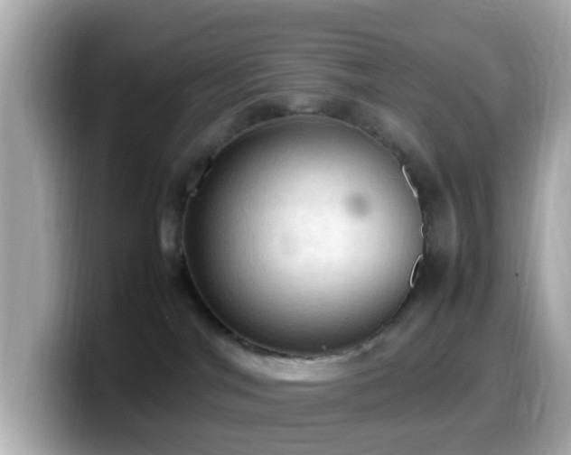 X0000099980044200805231433