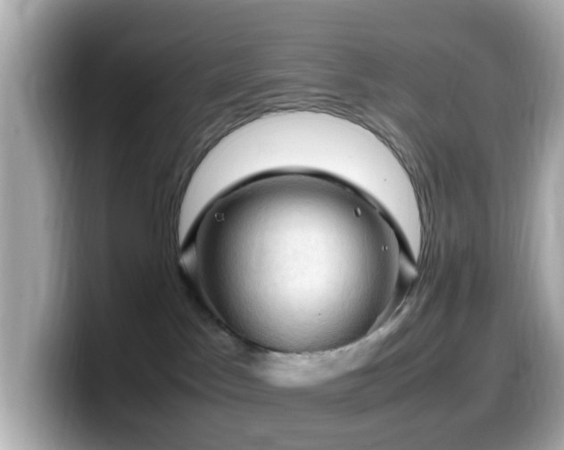 X0000099980045200805231433