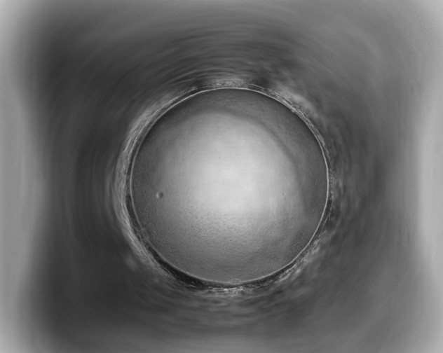X0000099980049200805231433