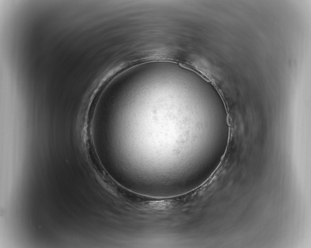 X0000099980050200805231433