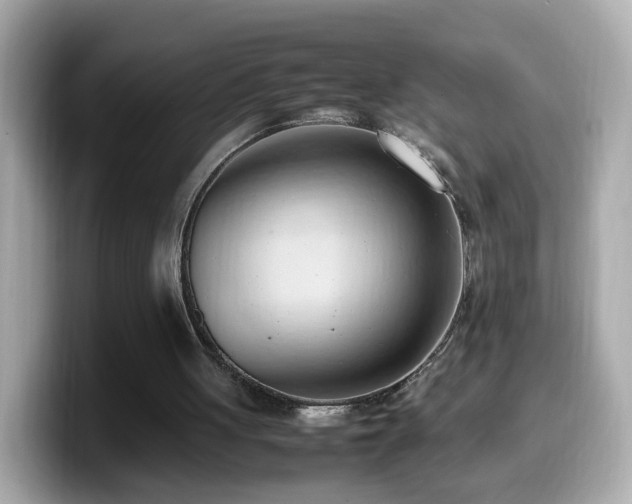 X0000099980051200805231433