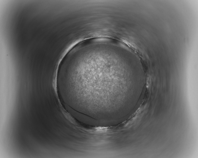 X0000099980052200805231433
