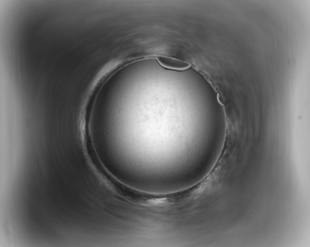 X0000099980054200805231433