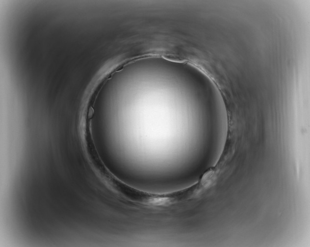 X0000099980055200805231433