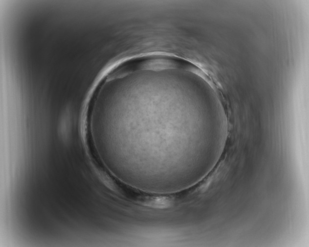 X0000099980056200805231433