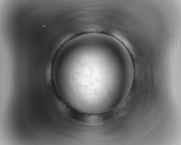 X0000099980058200805231433