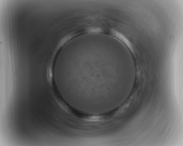 X0000099980059200805231433