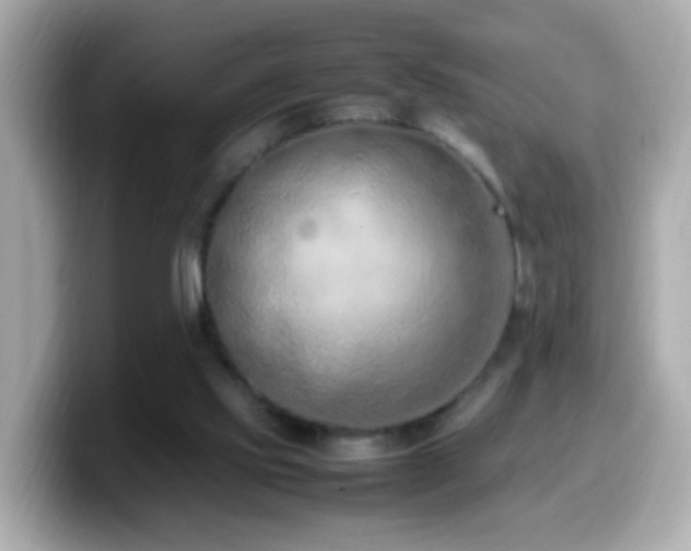 X0000099980061200805231433