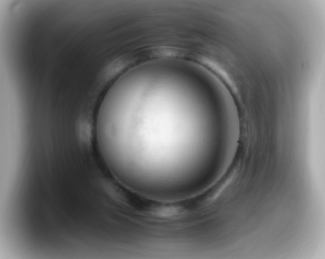 X0000099980063200805231433