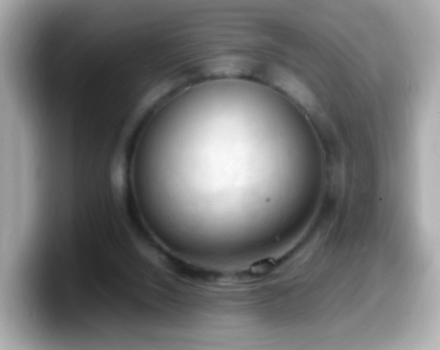 X0000099980064200805231433