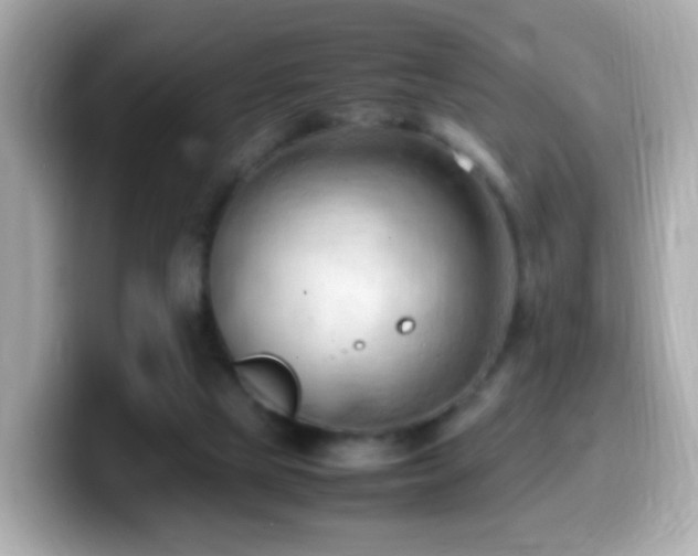 X0000099980065200805231433