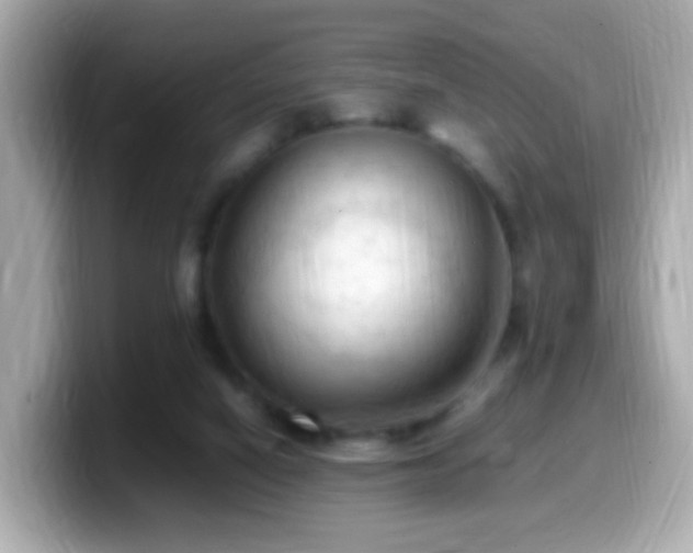 X0000099980066200805231433