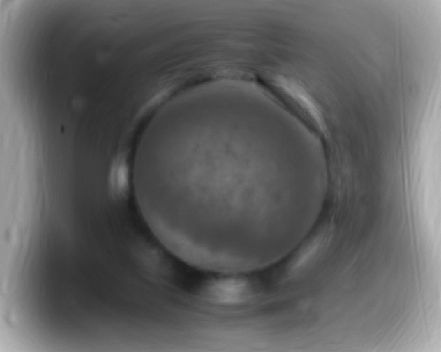 X0000099980067200805231433