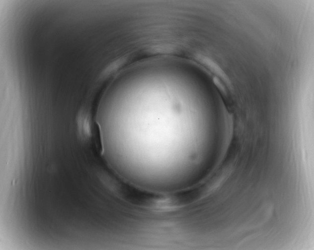 X0000099980068200805231433