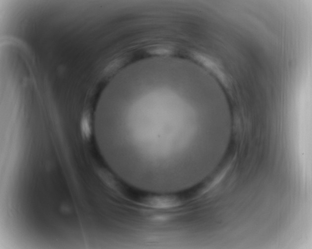 X0000099980069200805231433