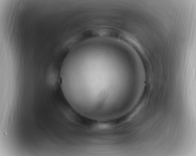 X0000099980073200805231433