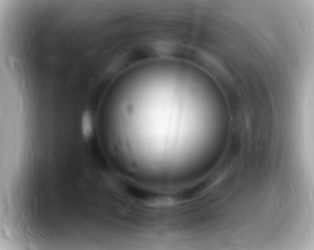X0000099980075200805231433