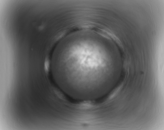 X0000099980076200805231433