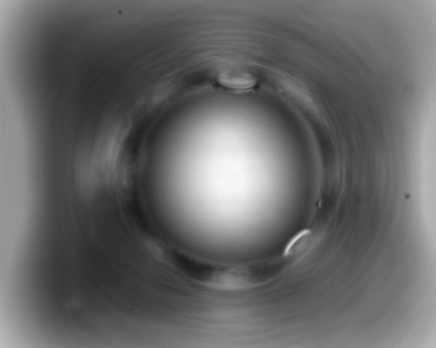 X0000099980078200805231433