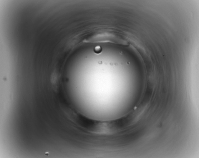 X0000099980079200805231433