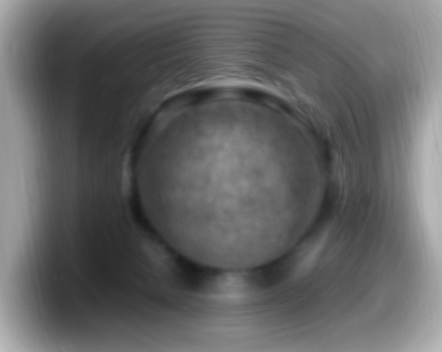 X0000099980080200805231433