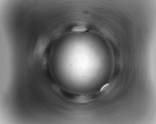 X0000099980082200805231433