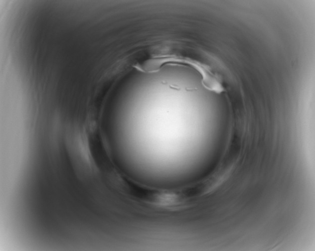X0000099980085200805231433