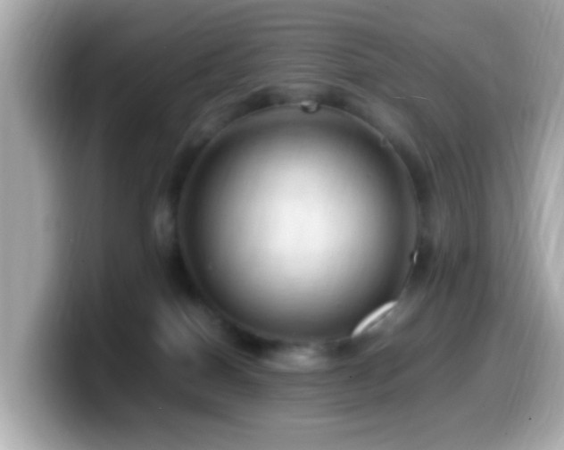 X0000099980086200805231433