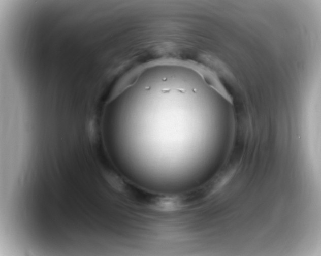 X0000099980088200805231433