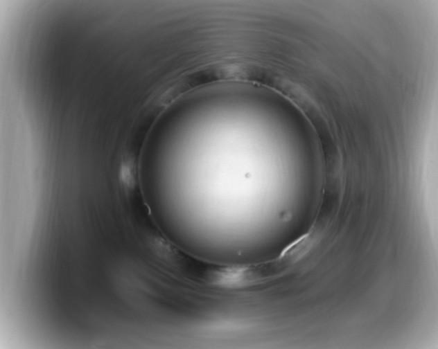 X0000099980090200805231433