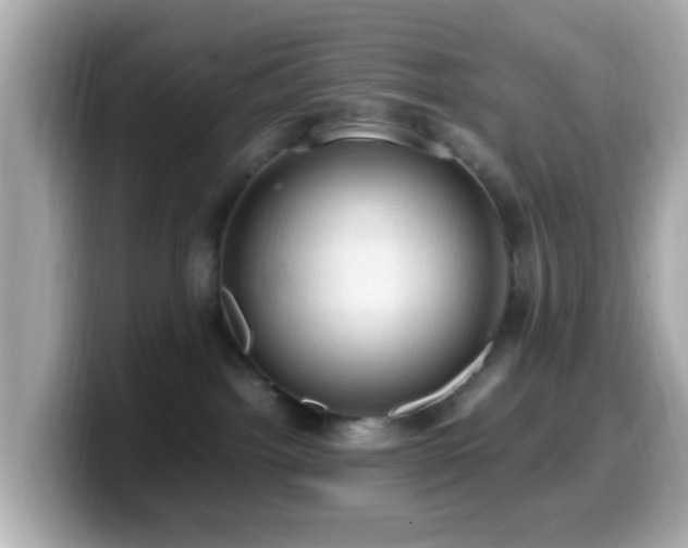 X0000099980092200805231433