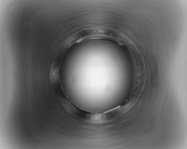 X0000099980096200805231433