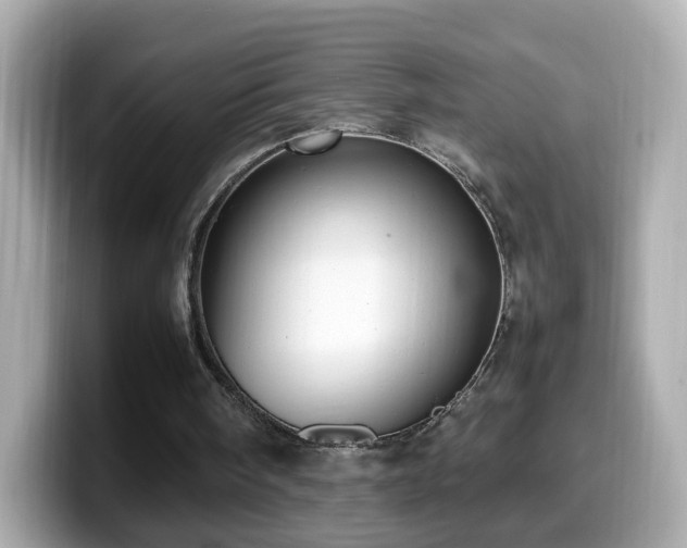 X0000099980098200805231433
