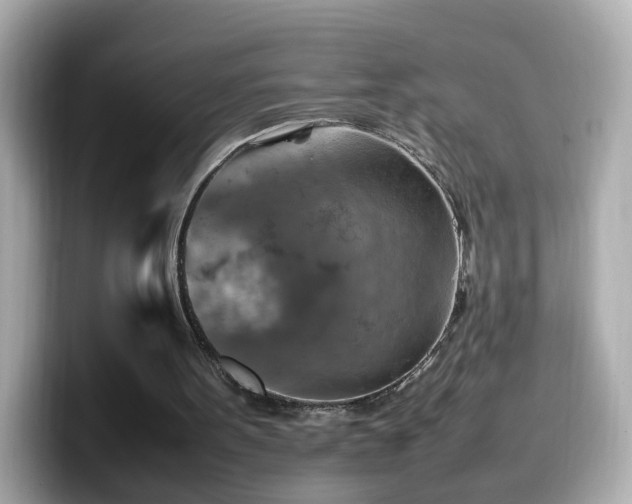 X0000099980099200805231433