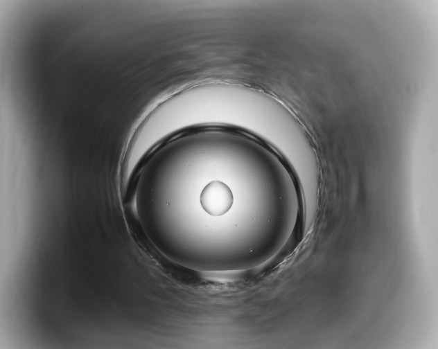 X0000099980100200805231433