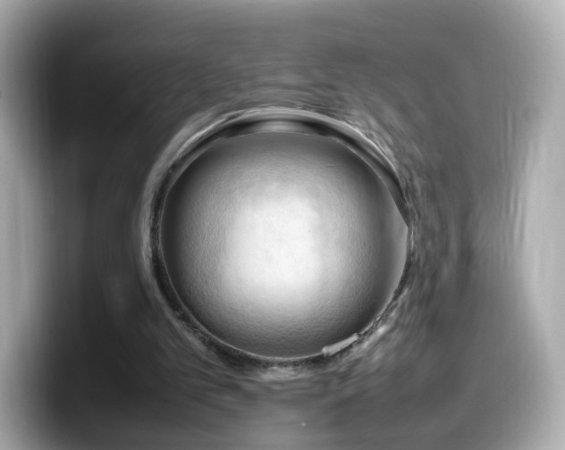 X0000099980101200805231433