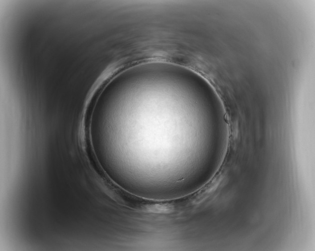 X0000099980102200805231433